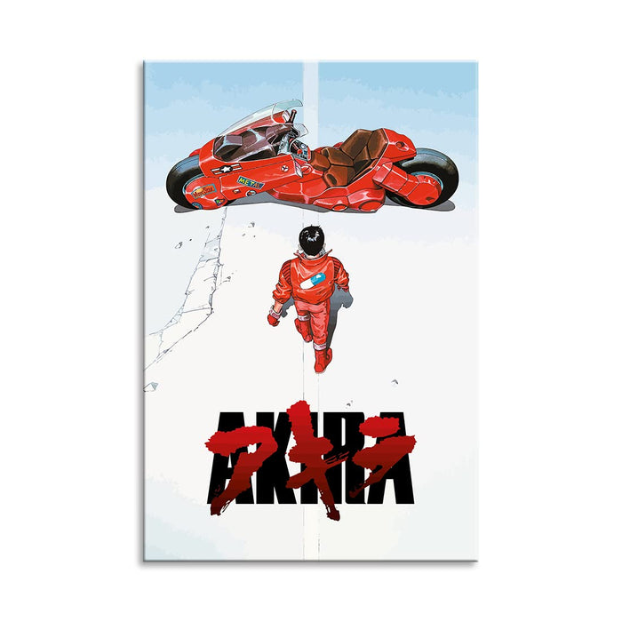 Art Panel Akira Poster Painting Nordic Modern Wall Art Frame Set 40x60cm Try It- Japan Figure Store - #1 Bring To You The Best Japanese Goods