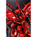 Bandai Rg 1/144 Msn-04 Sazabi Specail Coating Plastic Model Kit Gundam Cca- Japan Figure Store - #1 Bring To You The Best Japanese Goods