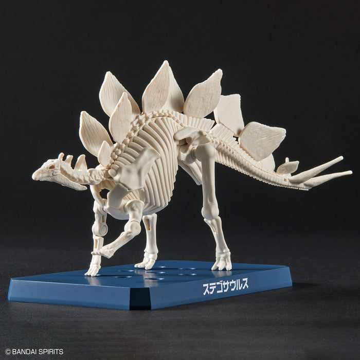 Bandai Spirits Planosaurus Stegosaurus Model- Japan Figure Store - #1 Bring To You The Best Japanese Goods