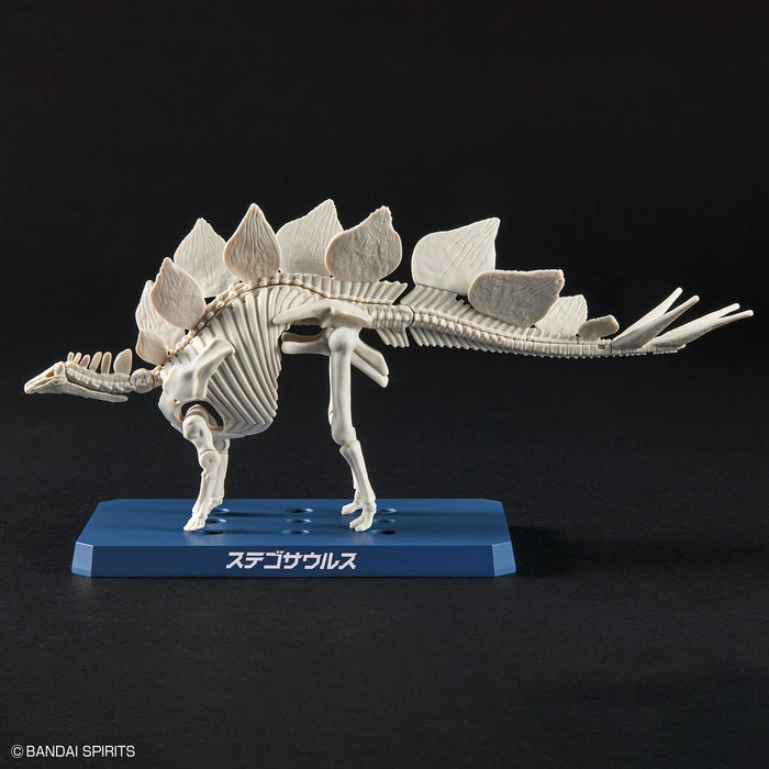 Bandai Spirits Planosaurus Stegosaurus Model- Japan Figure Store - #1 Bring To You The Best Japanese Goods
