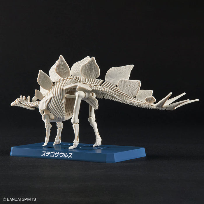 Bandai Spirits Planosaurus Stegosaurus Model- Japan Figure Store - #1 Bring To You The Best Japanese Goods