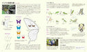 Beauty Butterfly Picture Book Art Book- Japan Figure Store - #1 Bring To You The Best Japanese Goods