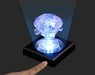 Beverly Crystal 3D Puzzle Led-002 Display Light Black Japanese 3D Puzzle Toy- Japan Figure Store - #1 Bring To You The Best Japanese Goods