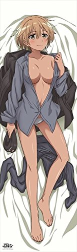 Brave Witches Waltrud Krupinski Chara-Ani Dakimakura Cover- Japan Figure Store - #1 Bring To You The Best Japanese Goods