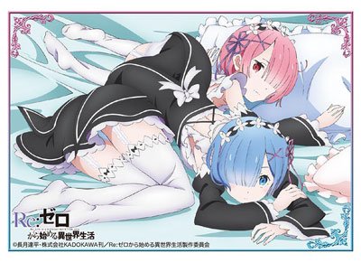 Bushiroad High Grade Sleeve Collection Vol.1142 - Rem & Ram from Re: Life in a Different World- Japan Figure Store - #1 Bring To You The Best Japanese Goods