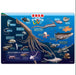 TENYO Jigsaw Puzzle Deep Sea Creatures W/ Japanese Names 80 Pieces Child Puzzle- Japan Figure Store - #1 Bring To You The Best Japanese Goods