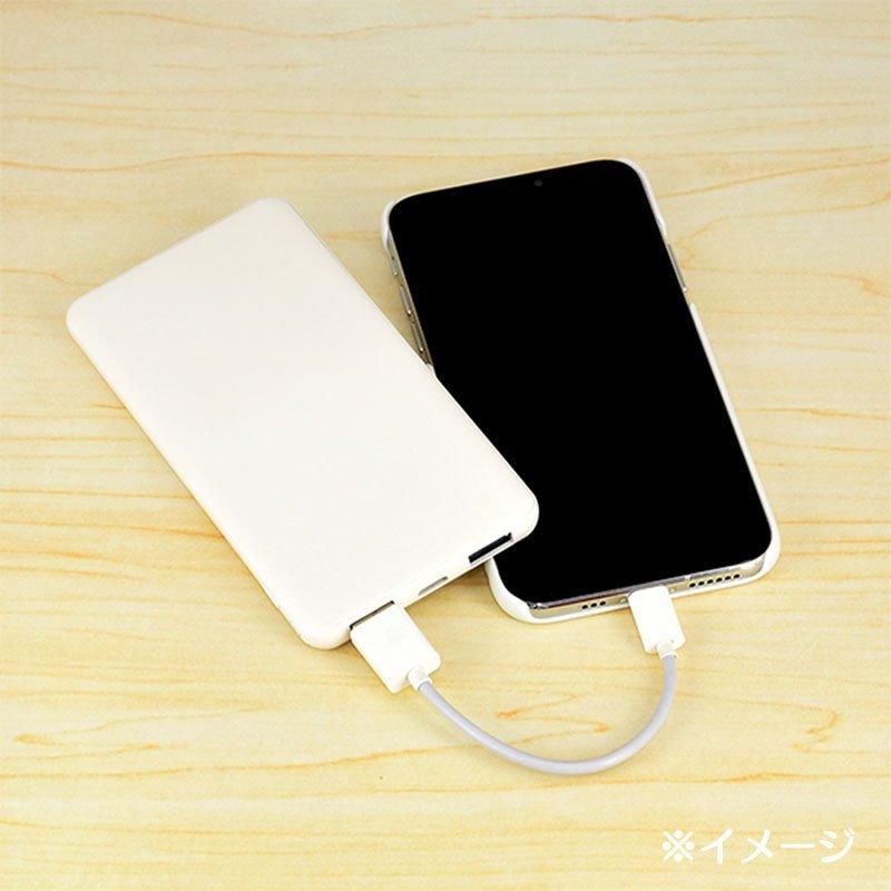 Cinnamoroll Usb Output Lithium Ion Polymer Charger- Japan Figure Store - #1 Bring To You The Best Japanese Goods