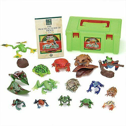 Colorata Real Figure Box The Plactical Guide Of Frogs - Japan Figure