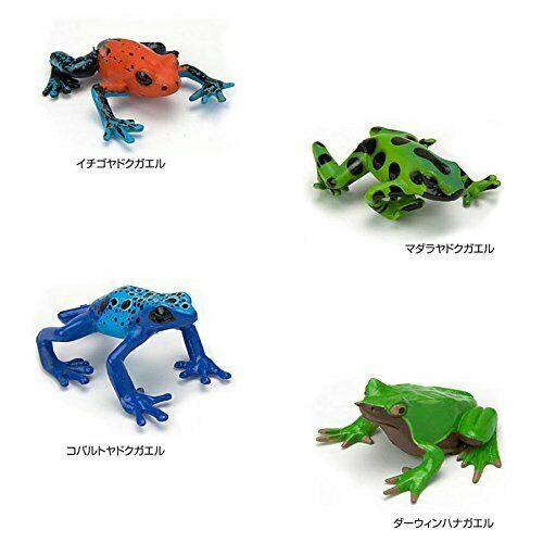 Colorata Real Figure Box The Plactical Guide Of Frogs- Japan Figure Store - #1 Bring To You The Best Japanese Goods