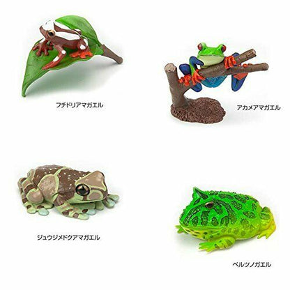 Colorata Real Figure Box The Plactical Guide Of Frogs- Japan Figure Store - #1 Bring To You The Best Japanese Goods