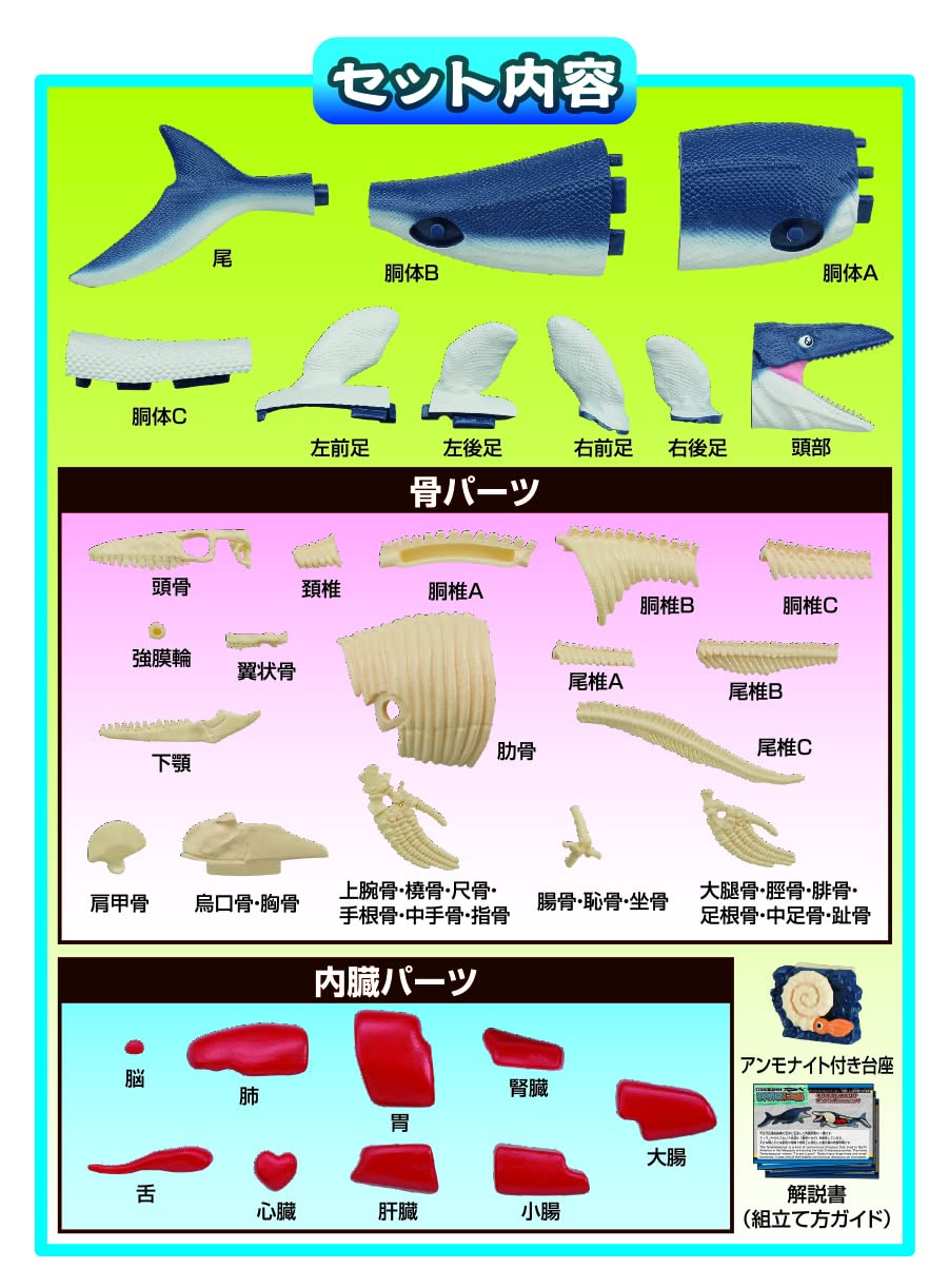 Megahouse Mammoth Mosasaurus Kaitai Puzzle Series Buy Animal Puzzle Made In Japan- Japan Figure Store - #1 Bring To You The Best Japanese Goods