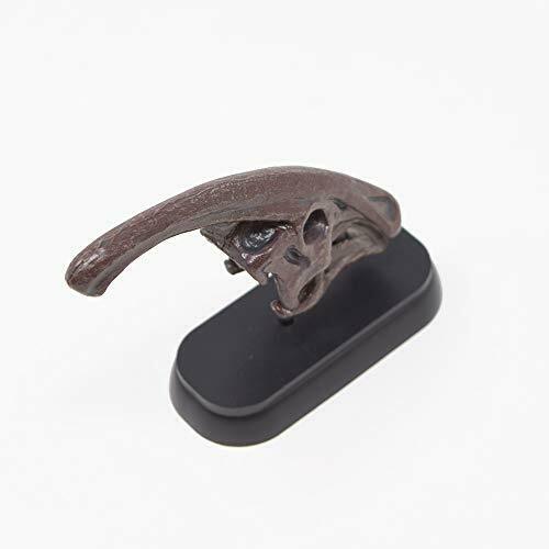 Dinosaur Parasaurolophus Skull Mini Model Fdw-504- Japan Figure Store - #1 Bring To You The Best Japanese Goods