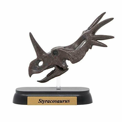 Dinosaur Styracosaurus Skull Mini Model Fdw-507- Japan Figure Store - #1 Bring To You The Best Japanese Goods