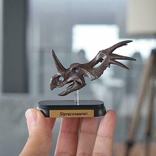 Dinosaur Styracosaurus Skull Mini Model Fdw-507- Japan Figure Store - #1 Bring To You The Best Japanese Goods
