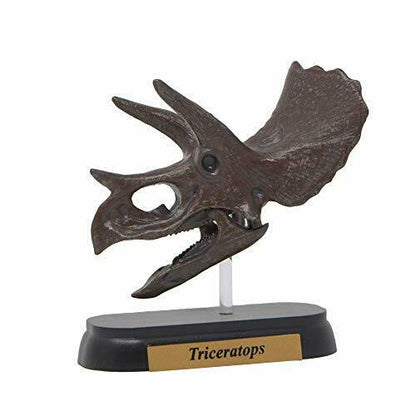 Dinosaur Triceratops Skull Mini Model Fdw-502 - Japan Figure