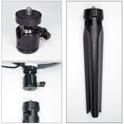 DOYUSHA Sgot! Led Ring Light L For Hobbies And Figures- Japan Figure Store - #1 Bring To You The Best Japanese Goods