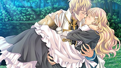 Dramatic Create Orufureru Bouquet Du Bonheur Sony Psvita - Used Japan Figure 4580302151199 1