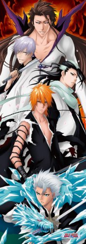 Ensky Bleach Those Who Transcend It 352 Piece Jigsaw Puzzle - Japan Figure