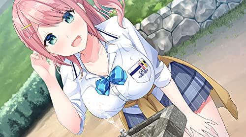 Entergram Amamane 2 For Sony Playstation 4 - New Japan Figure 4935066603871 3