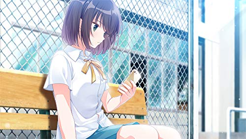 Entergram Aonatsu Line Sony Playstation Vita - New Japan Figure 4935066601990 2
