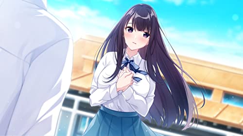 Entergram Aonatsu Line (Blue, Summertime Blue) For Nintendo Switch - Pre Order Japan Figure 4935066604564 4