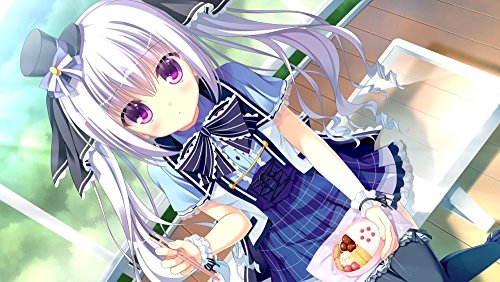 Entergram D.S. Dal Segno Ps Vita Sony Playstation - New Japan Figure 4935066601013 3