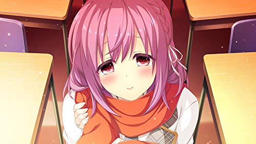 Entergram E School Life Playstation 4 Ps4 - New Japan Figure 4935066602867 3