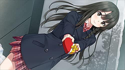 Entergram Fuyu Kiss For Sony Playstation Ps4 - New Japan Figure 4935066604052 2