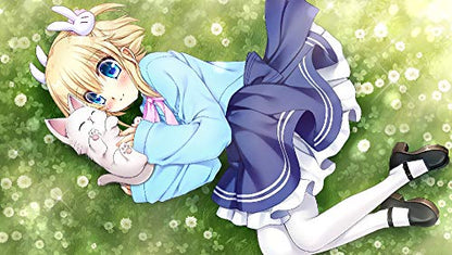 Entergram Kaleidoscope Of Phantasm Prison Nintendo Switch - New Japan Figure 4935066602324 4