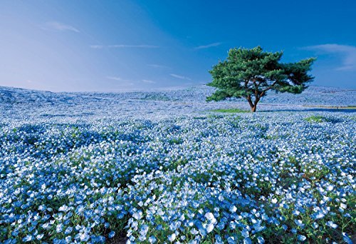 Epoch 1053-Piece Jigsaw Puzzle World Spectacular Views - Nemophila Hill Ibaraki Includes Glue and Spatula- Japan Figure Store - #1 Bring To You The Best Japanese Goods