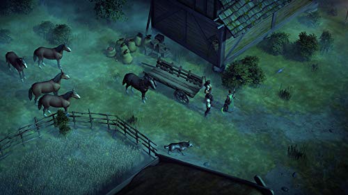 Exnoa Pathfinder: Kingmaker Definitive Edition Playstation 4 Ps4 - New Japan Figure 4580544940490 5