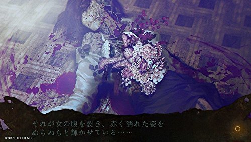 Experience Shiin Ps Vita Sony Playstation - New Japan Figure 4580287600804 4