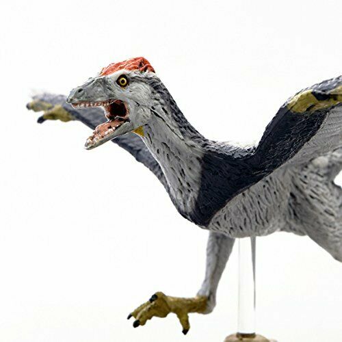 Favorite Dinosaur Soft Model Series Figure Archaeopteryx Fdw-015- Japan Figure Store - #1 Bring To You The Best Japanese Goods