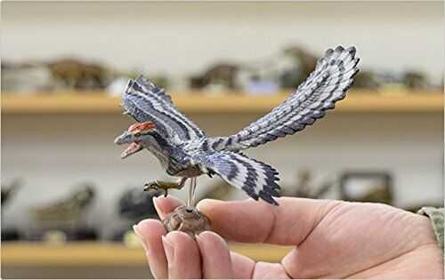 Favorite Dinosaur Soft Model Series Figure Archaeopteryx Fdw-015- Japan Figure Store - #1 Bring To You The Best Japanese Goods
