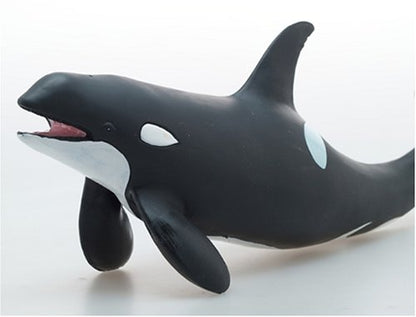 FM-301 Favorite Killer Whale- Japan Figure Store - #1 Bring To You The Best Japanese Goods