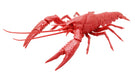 Fujimi Model Free Research Series No.24 Ex-6 Creature Edition American Crayfish (Metallic Red) Free Research-24 Ex-6- Japan Figure Store - #1 Bring To You The Best Japanese Goods