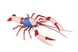 Fujimi Model Japan No.243 Kinnikuman Hen American Crawfish Kinnikuman Model Kit- Japan Figure Store - #1 Bring To You The Best Japanese Goods