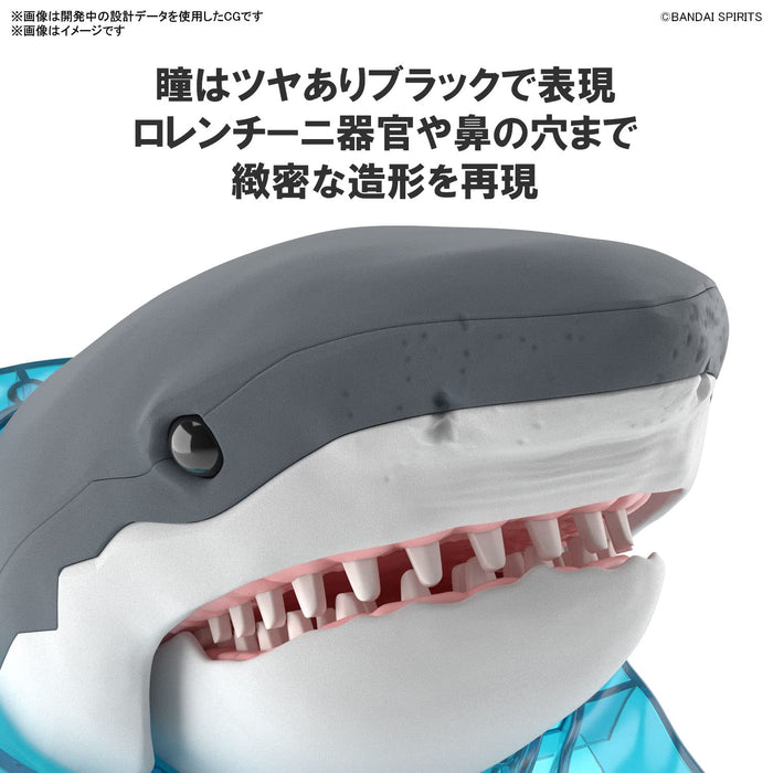 BANDAI Exploring Lab Nature Great White Shark Plastic Model- Japan Figure Store - #1 Bring To You The Best Japanese Goods