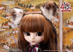 Groove Pullip Leema-Chan Dayan 40Th Anniversary Ver. Figure Japan - 310Mm Abs Painted Movable- Japan Figure Store - #1 Bring To You The Best Japanese Goods