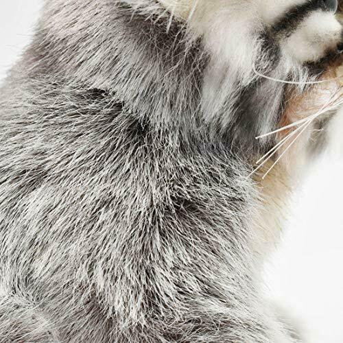 Hansa Stuffed Animal Real No.7299 Pallas Cat Pups 17 Bh7299- Japan Figure Store - #1 Bring To You The Best Japanese Goods