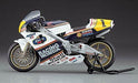 Hasegawa 1/12 Honda Nsr500 1989wgp500 Champion Plastic Bk4- Japan Figure Store - #1 Bring To You The Best Japanese Goods
