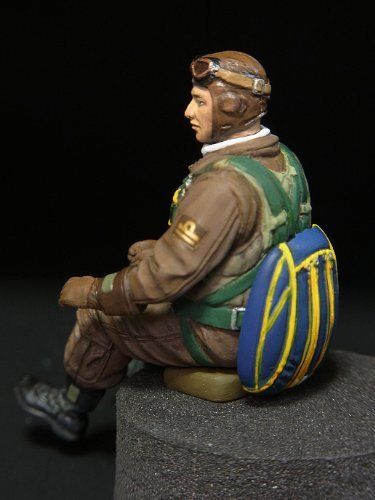 Hasegawa 1/32 Mitsubishi J2m3 Raiden Jack Type21 Model Kit- Japan Figure Store - #1 Bring To You The Best Japanese Goods