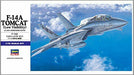 Hasegawa F-14a Tomcat Low Visibility Plastic Model- Japan Figure Store - #1 Bring To You The Best Japanese Goods