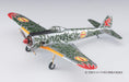 HASEGAWA Sp393 Koya No Kotobuki Hikotai Nakajima Ki-43-I Hayabusa Kirie 1/48 Scale Kit- Japan Figure Store - #1 Bring To You The Best Japanese Goods