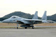 Hisone And Masotan Jasdf F-15j Masotan F Disguise Gifu Air Show 2018 Special - Japan Figure