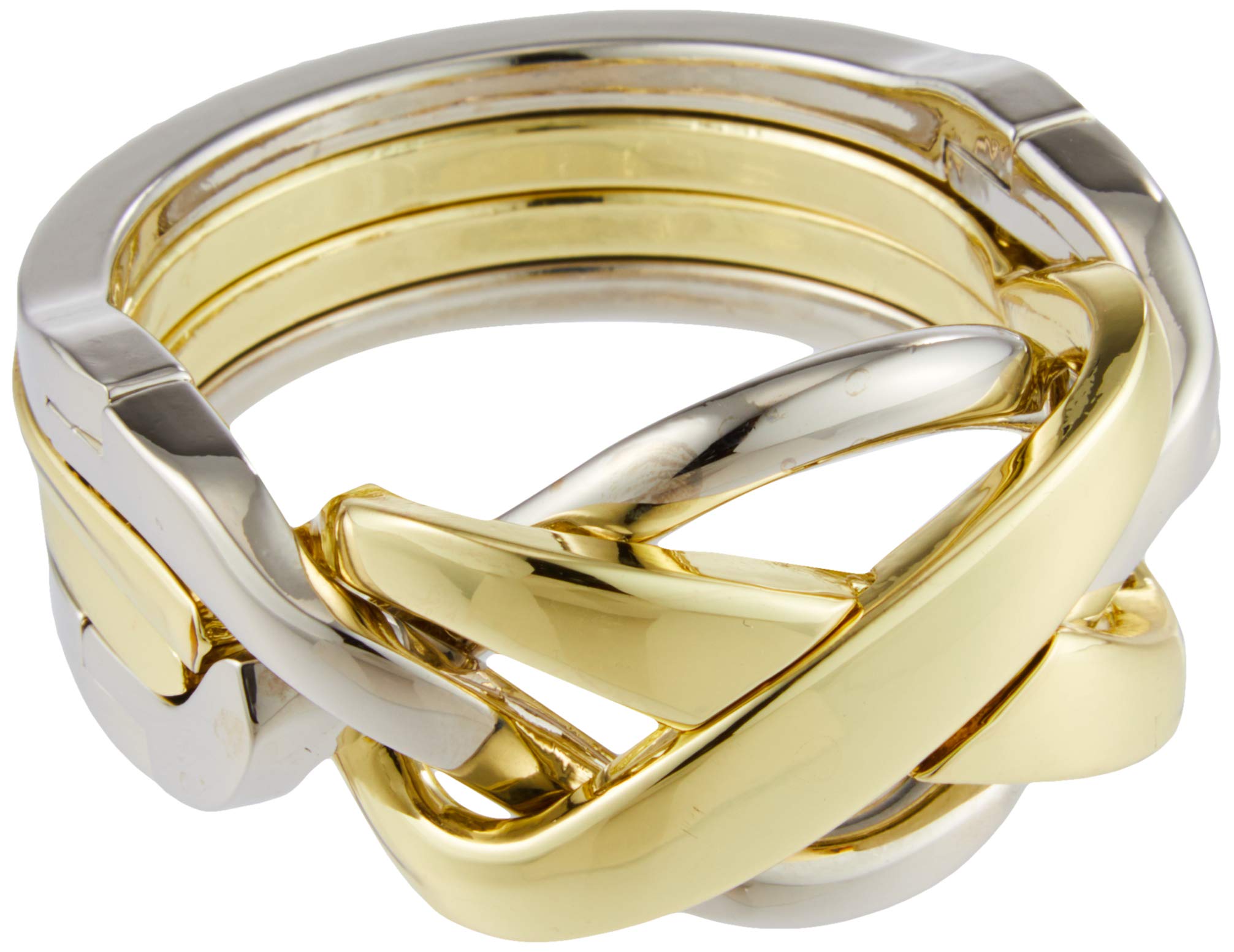 Hanayama Huzzle Cast Ring [Difficulty Level 4]- Japan Figure Store - #1 Bring To You The Best Japanese Goods