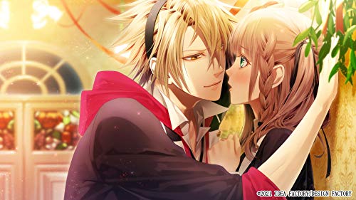 Idea Factory Amnesia World For Nintendo Switch - New Japan Figure 4995857096831 4