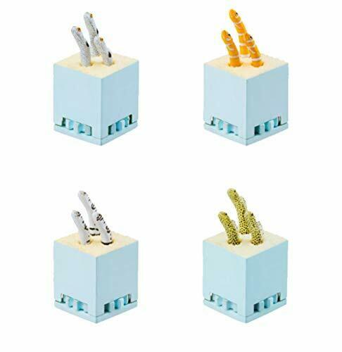 Ikimon Nature Technicolor Move Spotted Garden Eel Gashapon 4 Set Mini Figure - Japan Figure