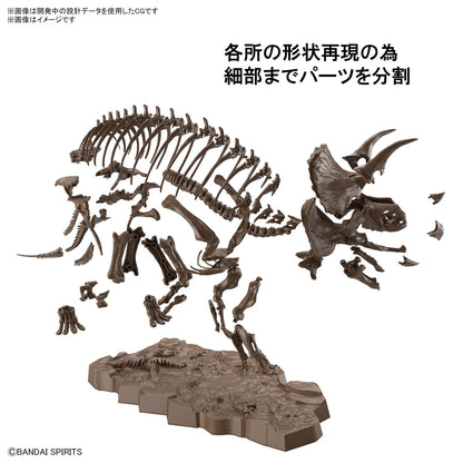 Bandai Spirits Japan 1/32 Scale Imaginary Skeleton Triceratops Plastic Model- Japan Figure Store - #1 Bring To You The Best Japanese Goods