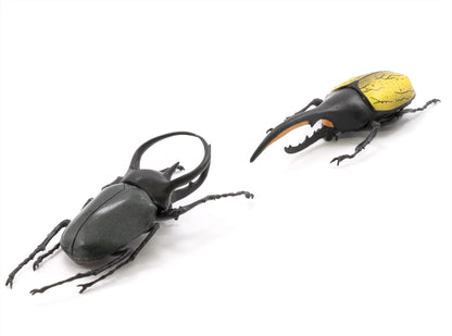 F-TOYS - Incects Hunter Rhinoceros Beetle X Stag Beetle 10Pcs Box - Candy Toy- Japan Figure Store - #1 Bring To You The Best Japanese Goods